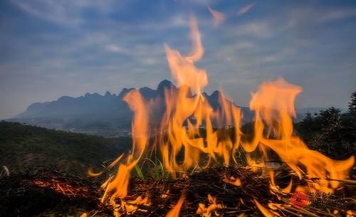 山头火命和什么命最配