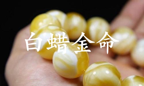 白蜡金命是什么意思