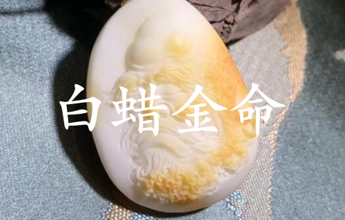 白蜡金命女孩一生命运