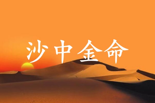 沙中金命五行缺什么