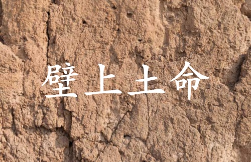 壁上土命女孩命运