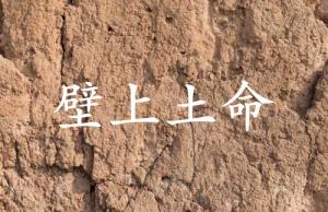 壁上土命女孩命运
