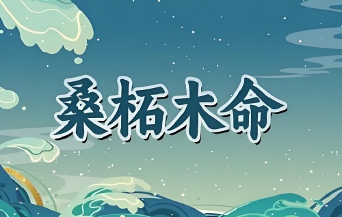 桑柘木命的男人的命运