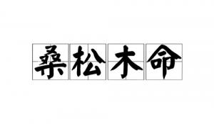 桑柘木命的女人的命运