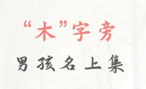 带木字旁的字男孩名字