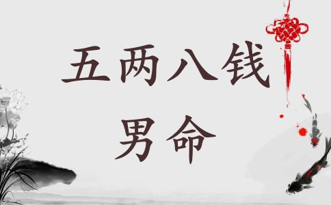 五两八钱男命详细解释一生