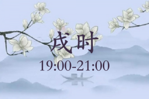 戌时五行属什么