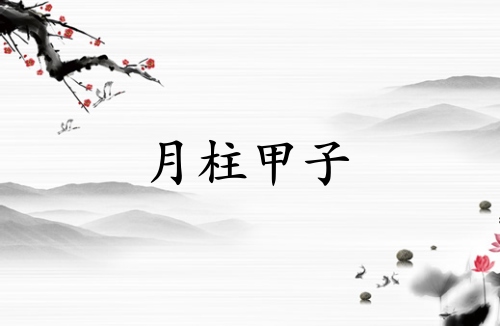 八字月柱甲子是什么意思
