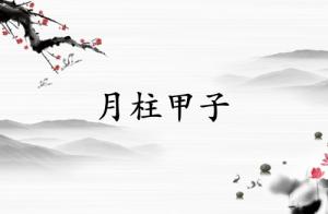 八字月柱甲子是什么意思