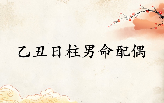 乙丑日柱男命配偶性格特点