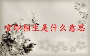 官印相生是什么意思