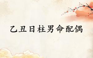 乙丑日柱男命配偶性格特点