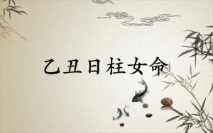 乙丑日柱女命一生详解