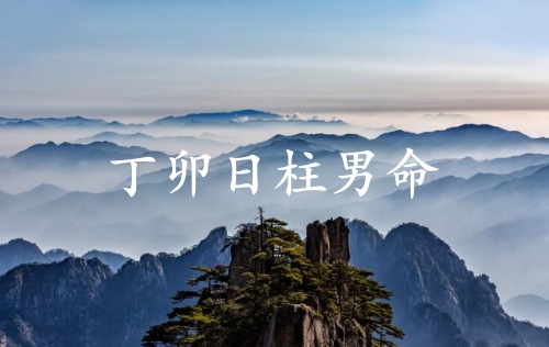 丁卯日柱男命运详解