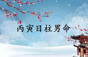丙寅日柱男命运详解