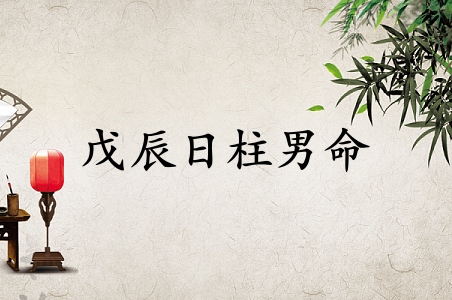 戊辰日柱男命运详解