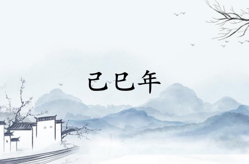 己巳年是哪一年是什么命？