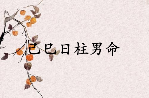 己巳日柱男命运详解