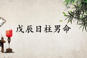 戊辰日柱男命运详解