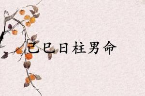 己巳日柱男命运详解