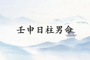 壬申日柱男命详解