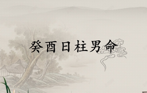 癸酉日柱男命详解