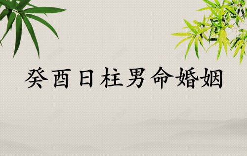 癸酉日柱男命婚姻怎么样