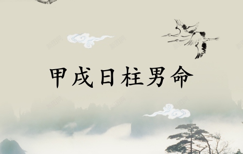 甲戌日柱男命详解