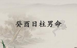 癸酉日柱男命详解