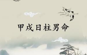 甲戌日柱男命详解