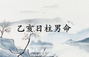 乙亥日柱男命详解大全