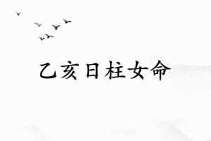 乙亥日柱女命一生详解