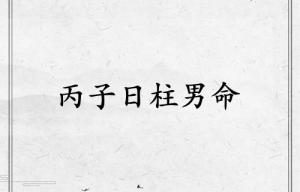 丙子日柱男命运详解