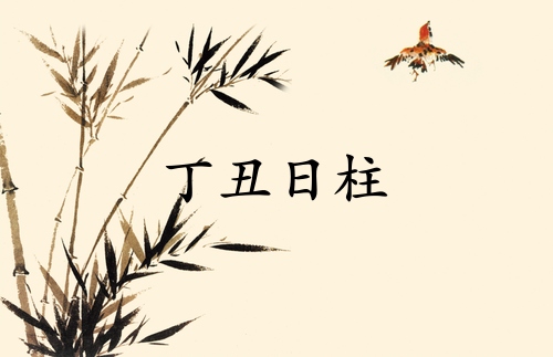 丁丑日柱三命通会精论