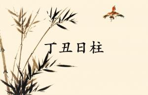 丁丑日柱三命通会精论
