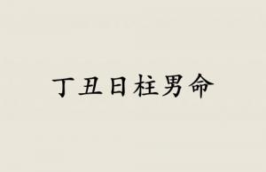 丁丑日柱男命运详解