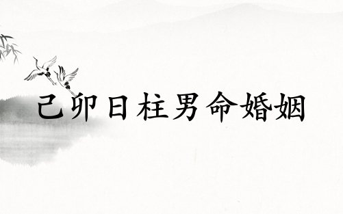 己卯日柱男命婚姻怎么样