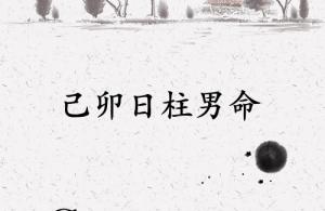己卯日柱男命运详解