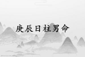 庚辰日柱男命运详解