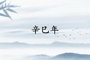辛巳年是哪一年的属什么生肖