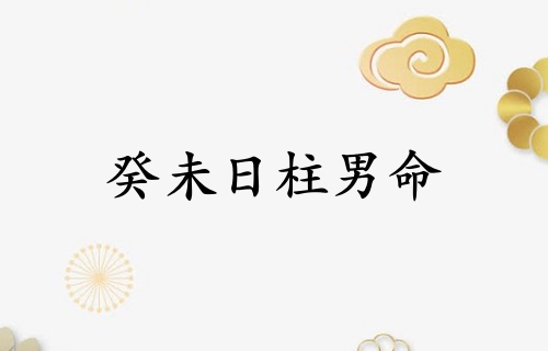 癸未日柱男命运详解