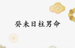 癸未日柱男命运详解