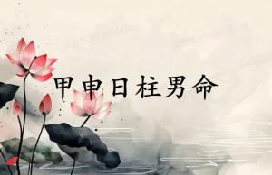 甲申日柱男命运详解