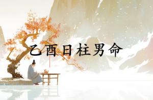 乙酉日柱男命运详解