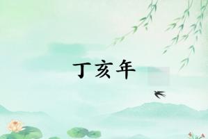 丁亥年是哪一年属什么生肖