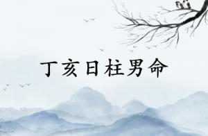 丁亥日柱男命运详解