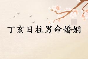 丁亥日柱男命婚姻怎么样