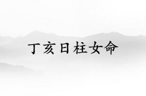 丁亥日柱女命运详解