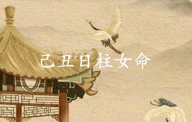 己丑日柱女命运分析