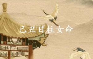 己丑日柱女命运分析